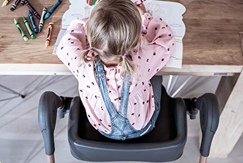 Maxi-Cosi Minla 6-In-1 High Chair, Essential Blue